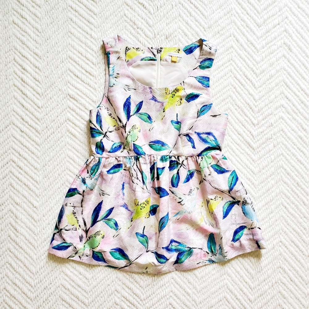 Anthropologie Leifsdottir Peplum Top